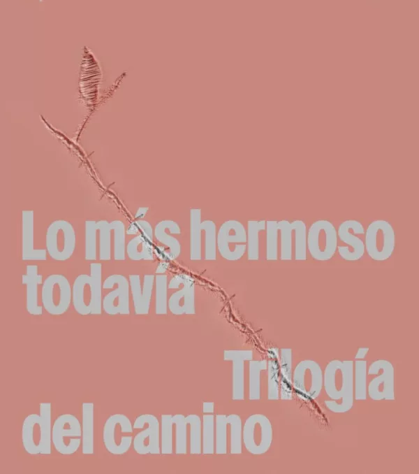 Li más hermoso todavía