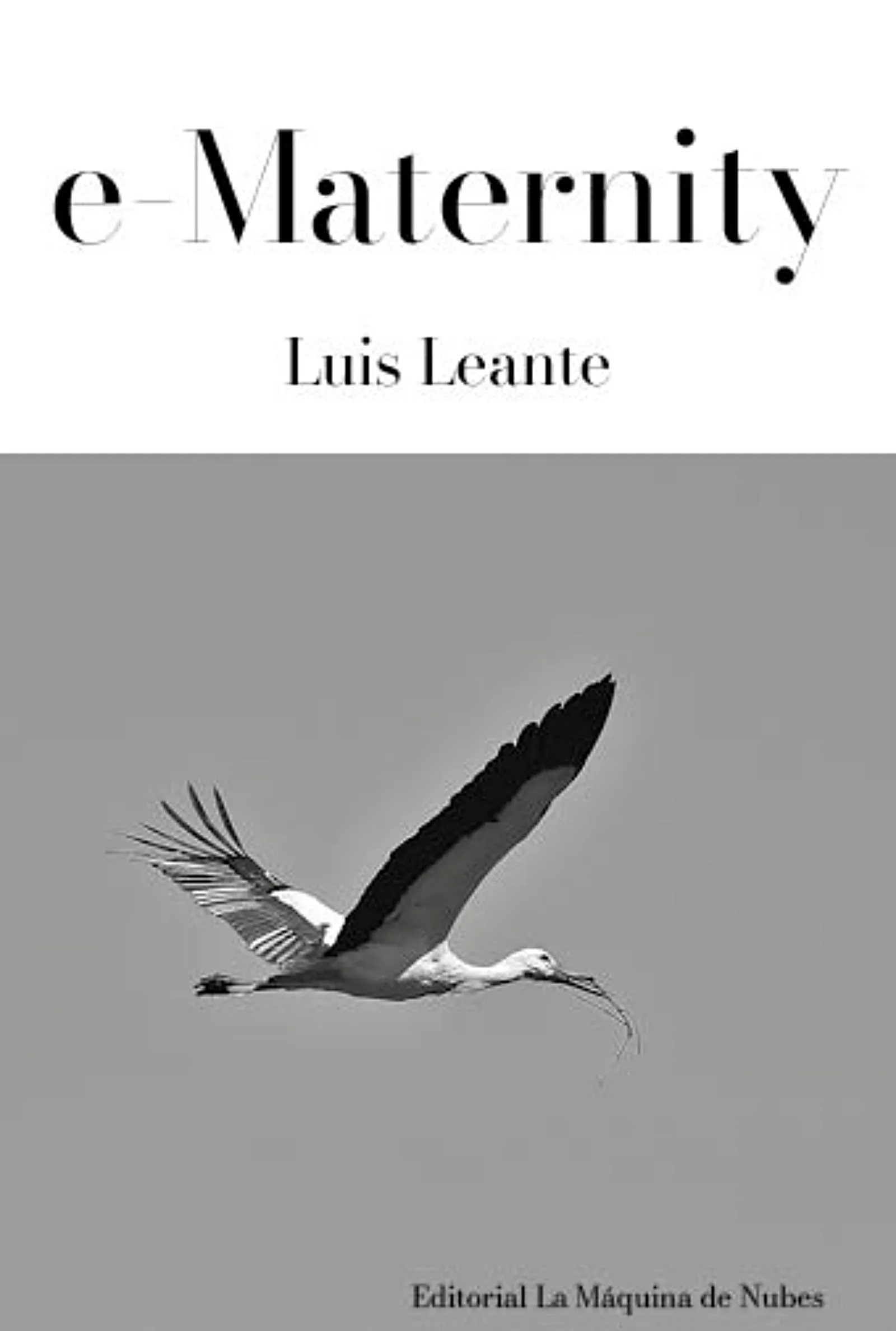 wemater1 e-Maternity